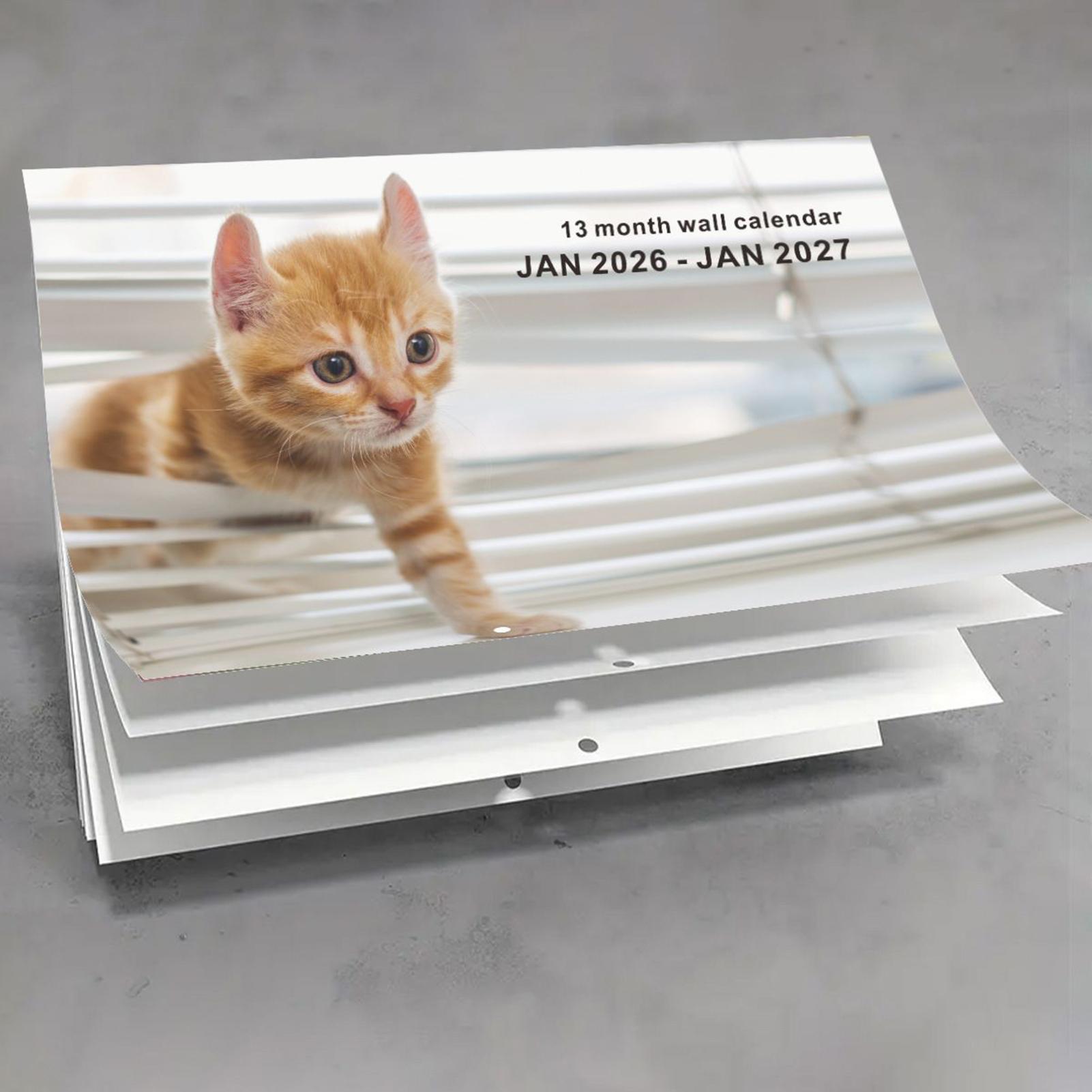 2026 고양이 영어 벽걸이 달력 13개월 계획 고양이 - English Home Office 리뷰 및 가격